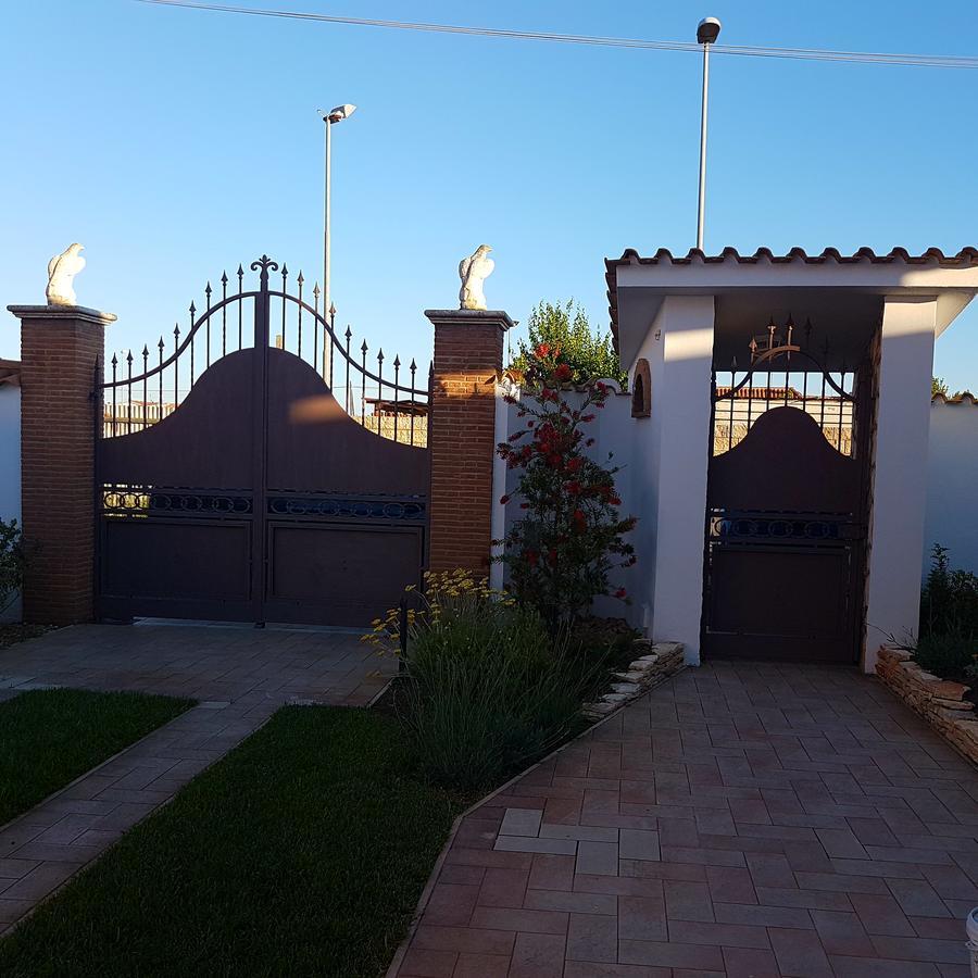 Emotions Bed and Breakfast Φιουμιτσίνο Εξωτερικό φωτογραφία