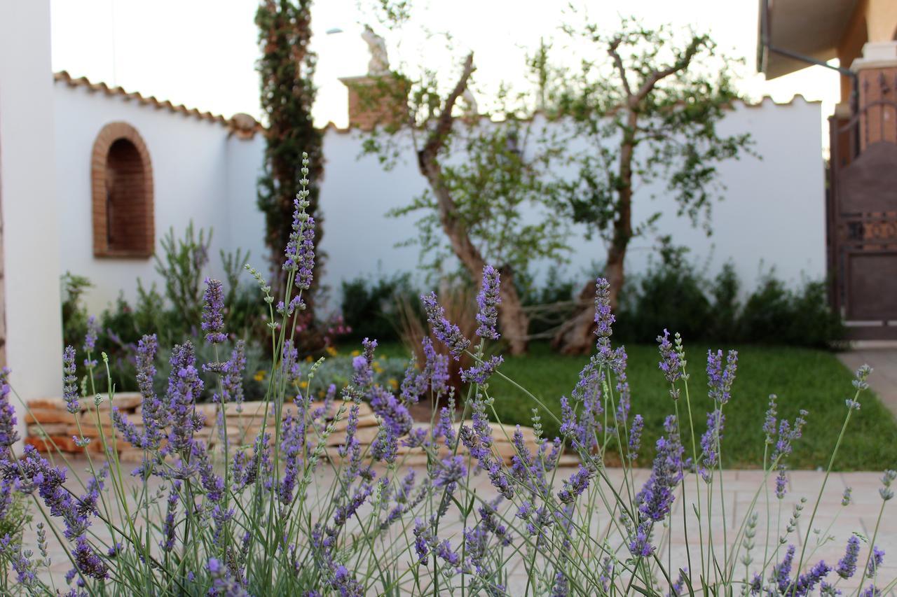 Emotions Bed and Breakfast Φιουμιτσίνο Εξωτερικό φωτογραφία